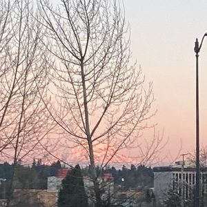 Meet your Posher, Naitasha